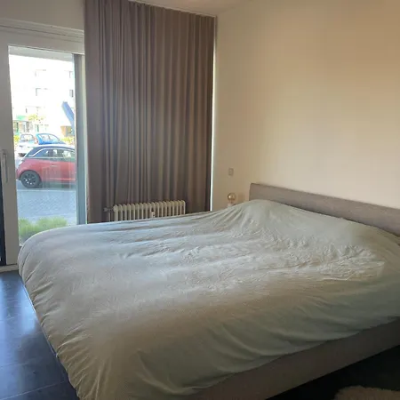 In Near Sandy Beaches *